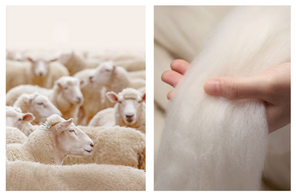 australian superfine wool fedora hat for men | 100% superfine wool