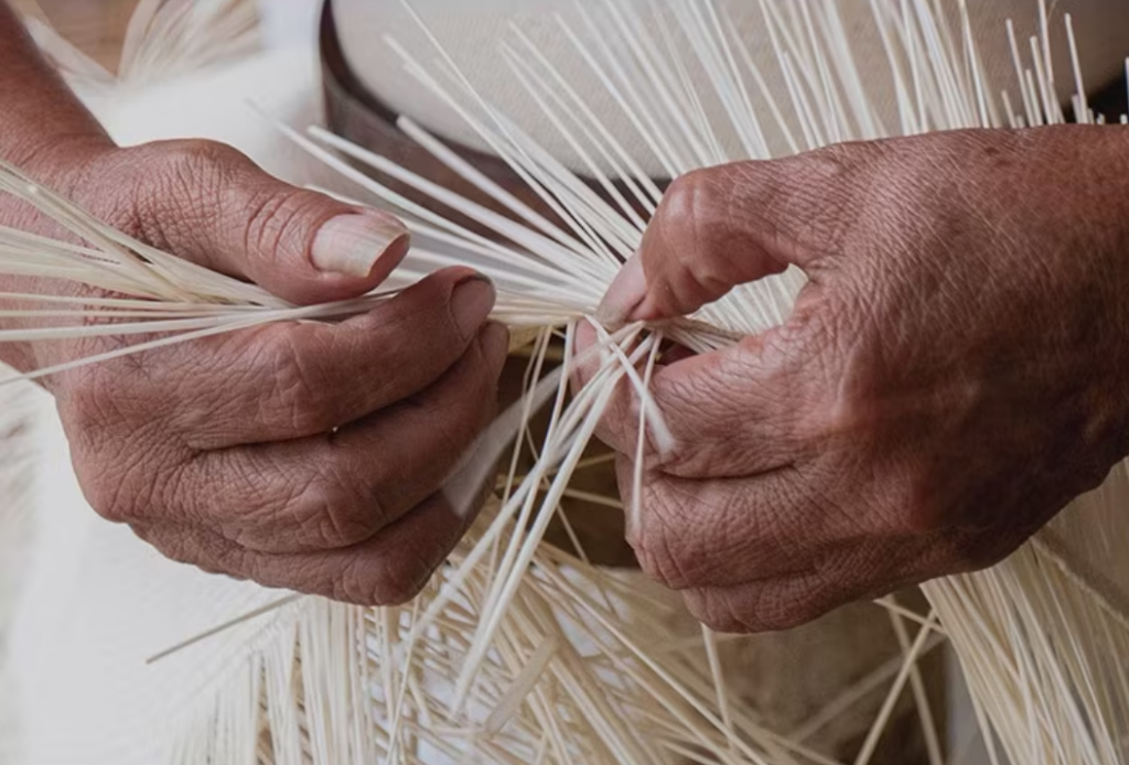handwoven panama straw fedora hat for men & women